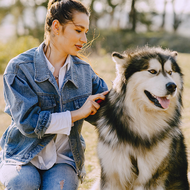 Automated Care & Grooming