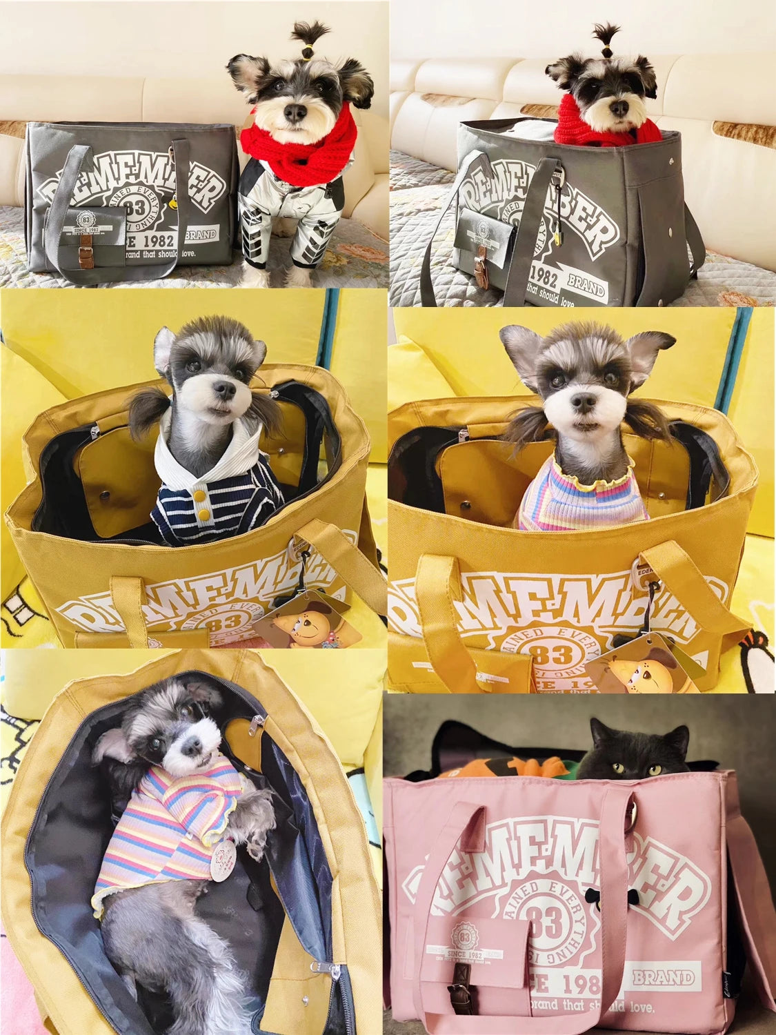 Aura Free Ship RU ES FR Pet Carrier Dog Cat Puppy Transport Bags Travel Shoulder Bag Comfort Breathable Handbag For Cats Dogs