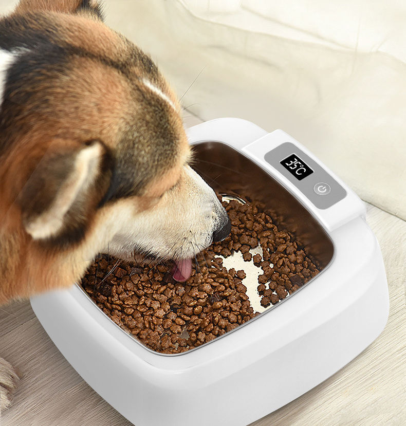 Aura Smart Pet Heating Bowl with Constant Temperature
