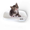 Aura AI Precision Pet Health Scale - Smart Weight Tracker