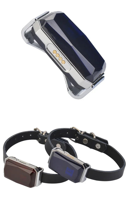 Aura Pet Collar Mini GPS Tracker, GSM Wifi LBS Anti-lost Tracker Pet Location Collar IP67 Waterproof for Pet Dog Cat Sheep Tracking