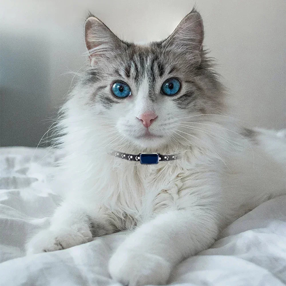 Pet GPS Tracker Collar