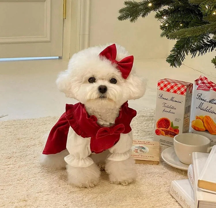 Puppy Bow Dog Dress Winter
