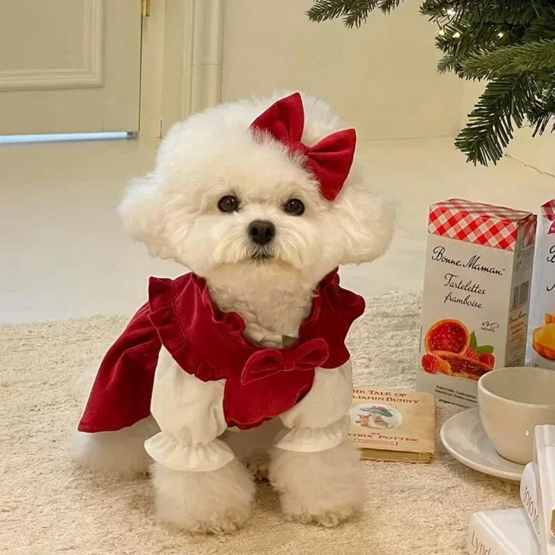 Puppy Bow Dog Dress Winter