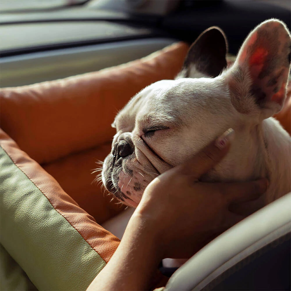 Aura Pet Outing Lathe Luxury Faux Leather Dog Car Seat/Cat Car Bed/Booster Bed Pet Booster Car Seat Dog Cat Travel Seat