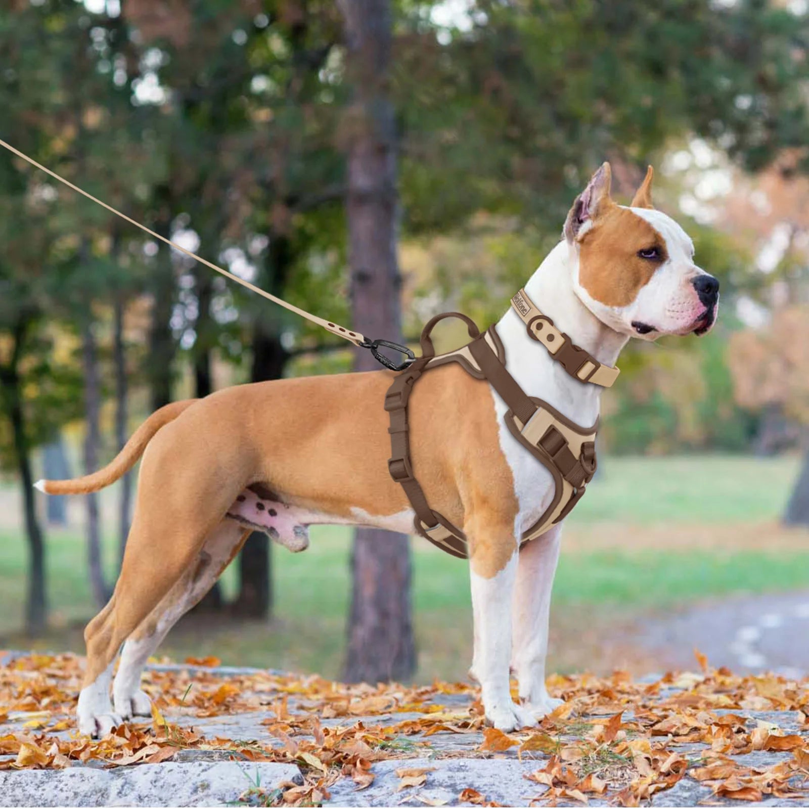 No Pull Dog Harness Adjustable