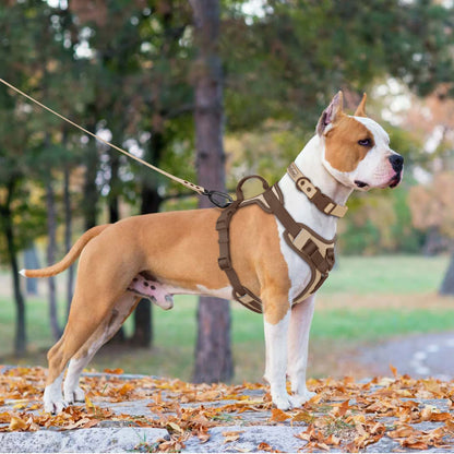 No Pull Dog Harness Adjustable