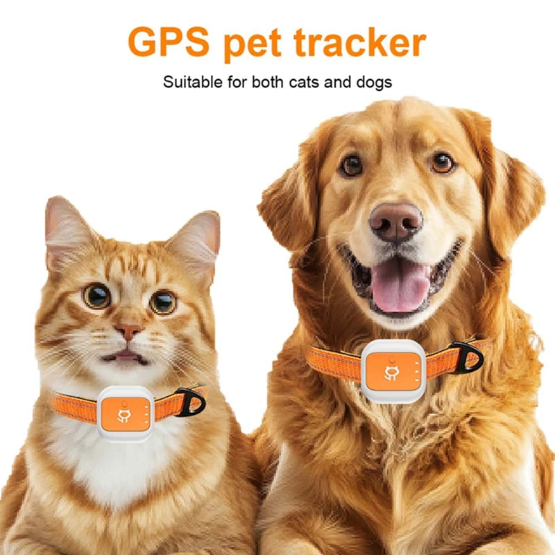 Pet GPS Tracker 4G LTE