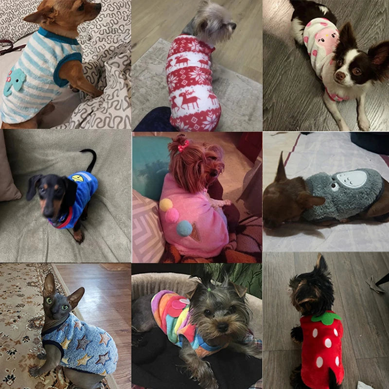 Winter Dog Vest for Small Dogs