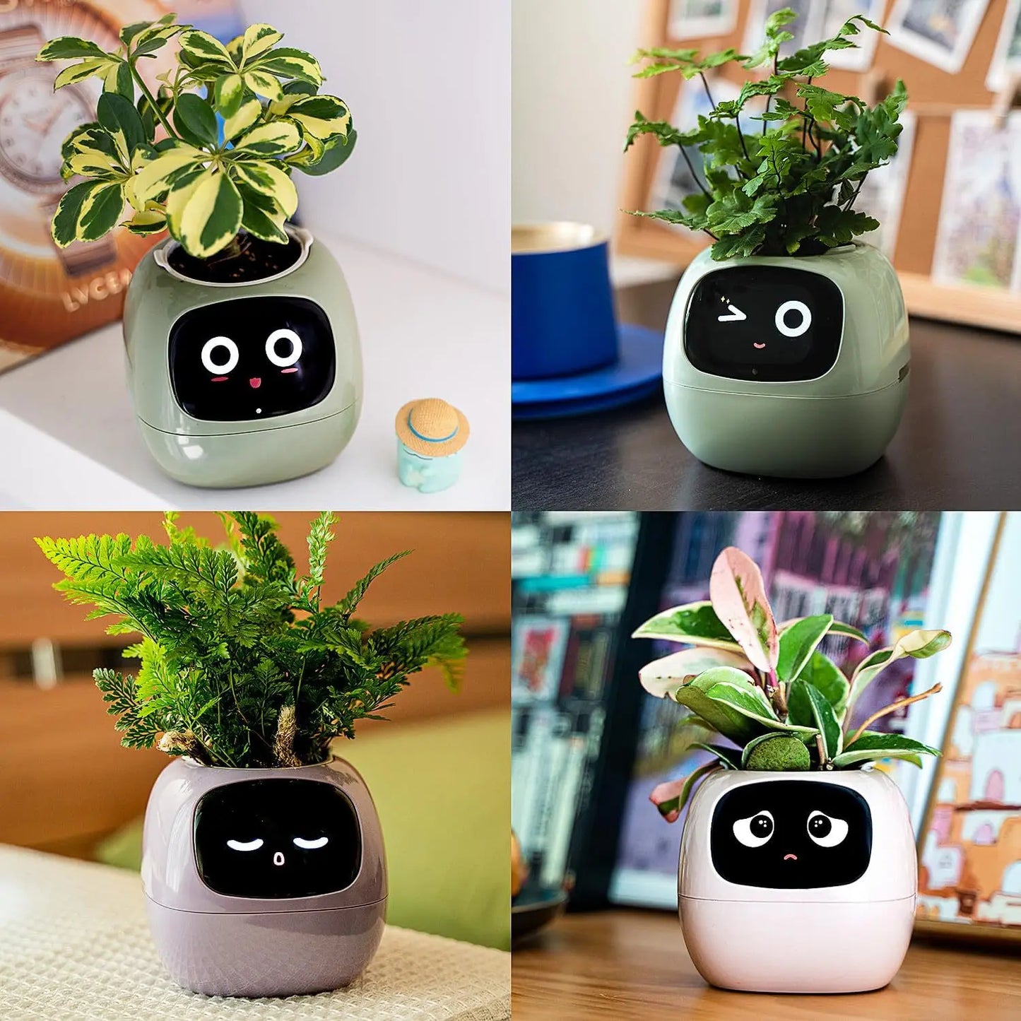 Aura Intelligent Planter Electronic Pet Emotional Interactive Automatic Monitoring Temperature and Humidity Creative Plant Pot Gi