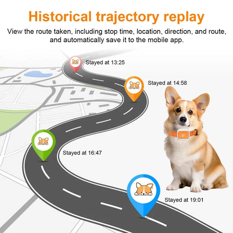 Pet GPS Tracker 4G LTE