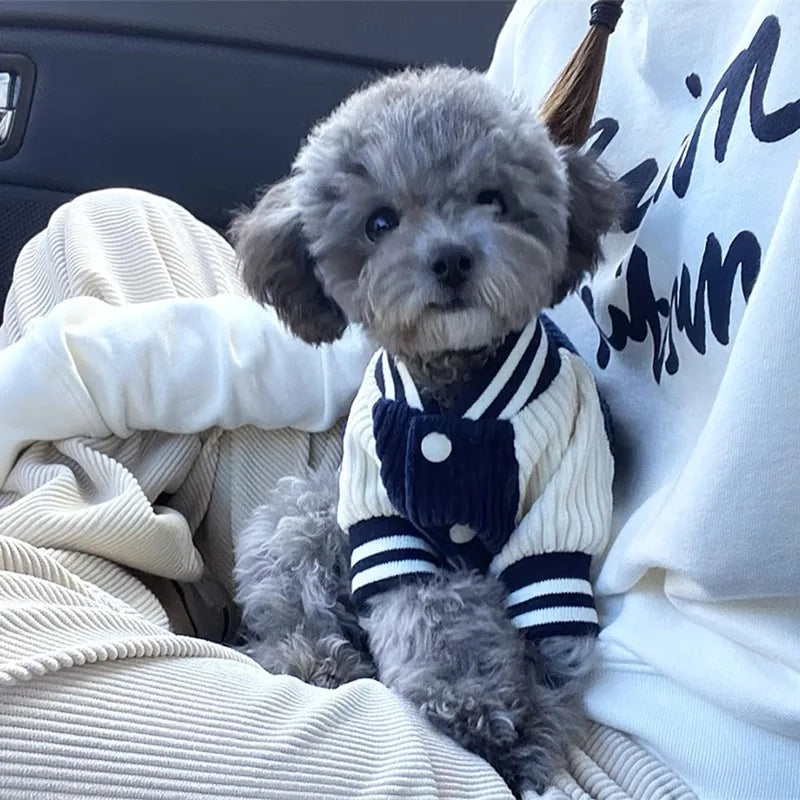 Embroidered Dog Baseball Jacket