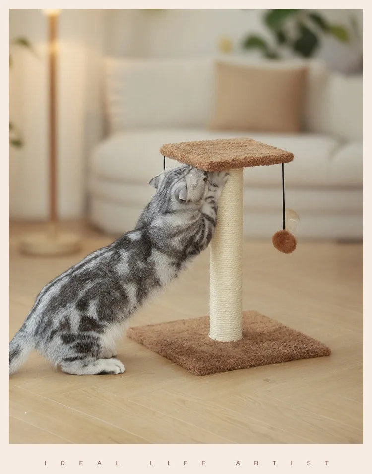 Agave Non-Shedding Cat Tree Vertical Scratching Post with Toy Self-Amusement Cat Toy Scratching Board for Small Cats
