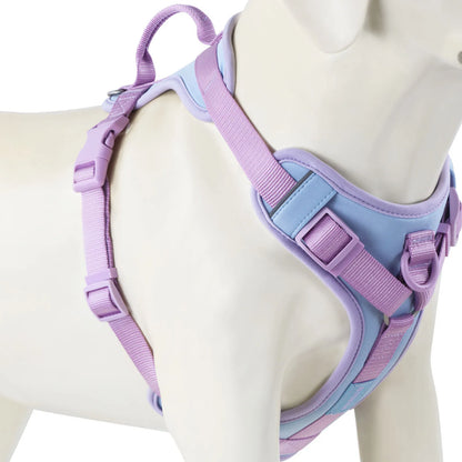New Chocolate color luxury Dog Harness no pull for large Small dogs Adjustable Chest Strap dog harness personalized
