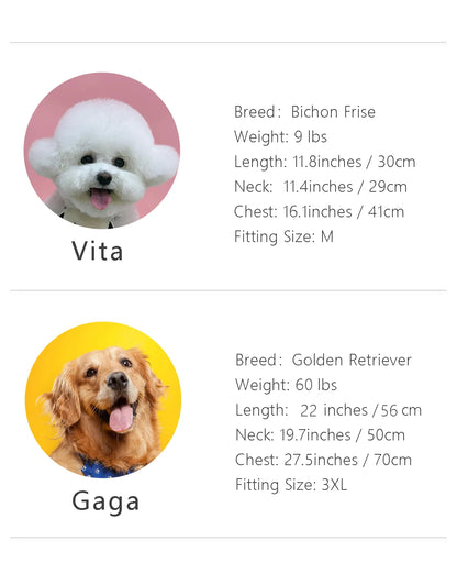 Yellow Dog Raincoat