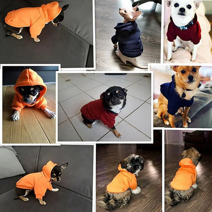 Winter Dog Hoodie Jacket