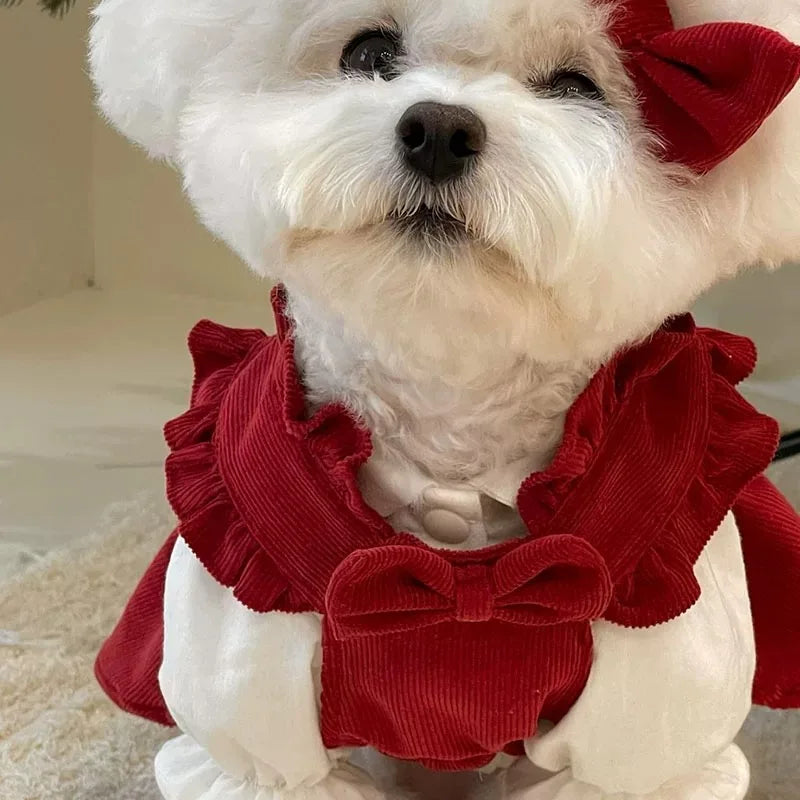 Puppy Bow Dog Dress Winter