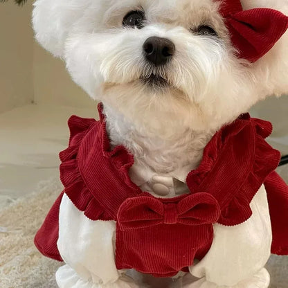 Puppy Bow Dog Dress Winter