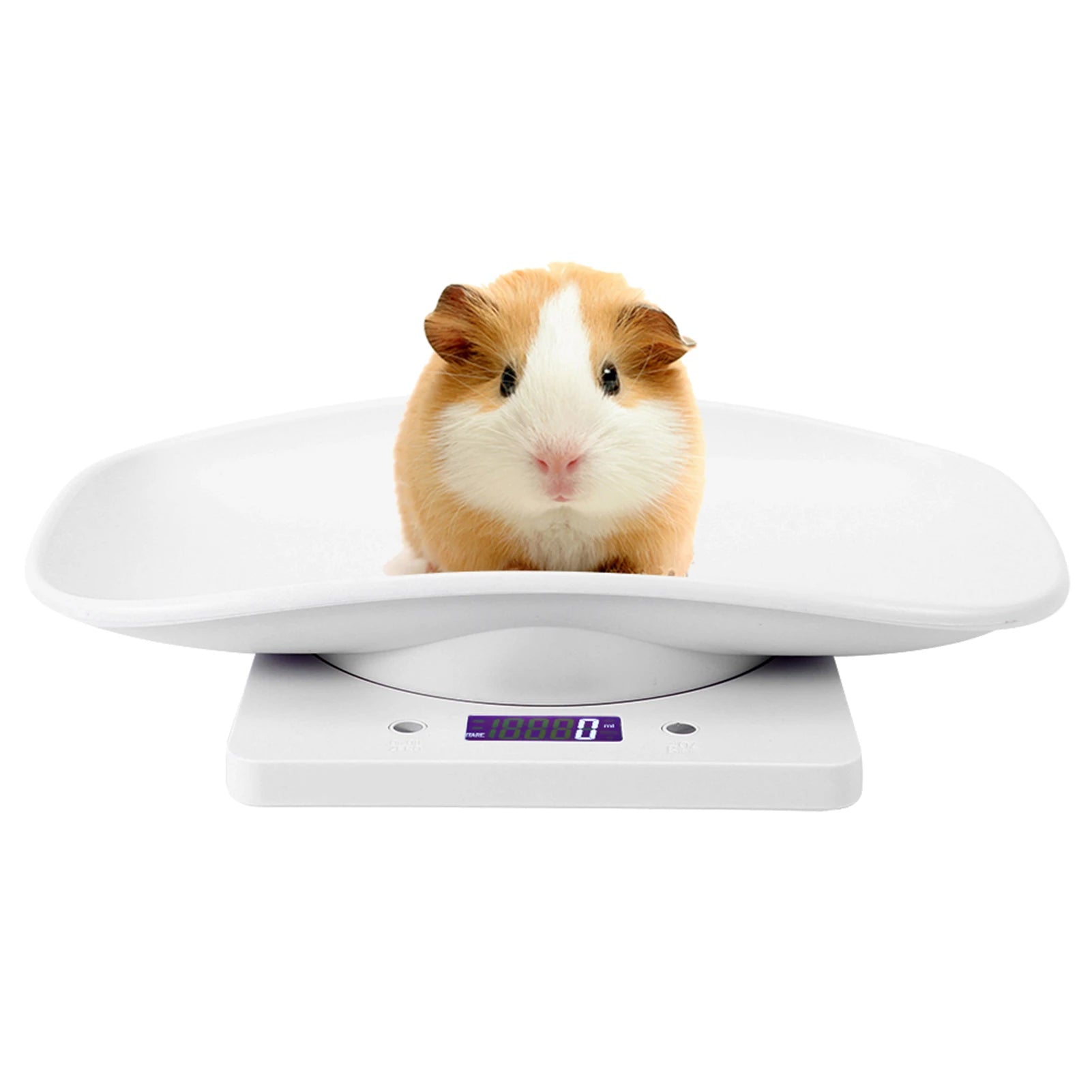 Digital Pet Weight Scale 10kg