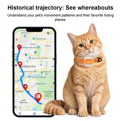 Pet GPS Tracker 4G LTE