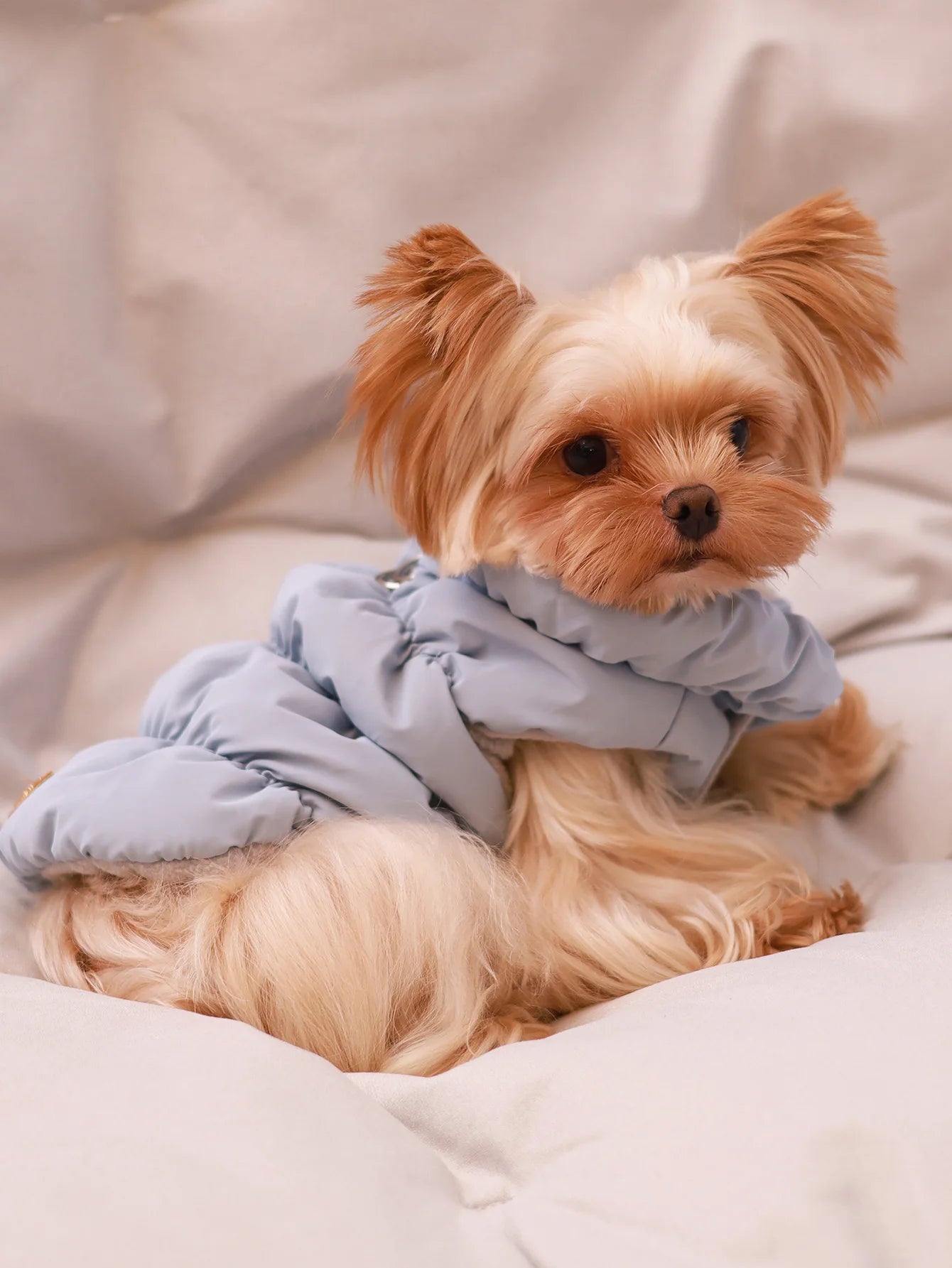 3 Layer Dog Winter Jacket
