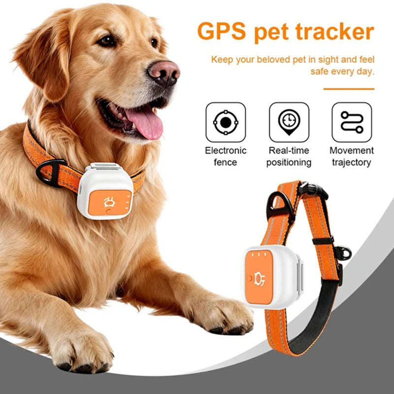 Pet GPS Tracker 4G LTE