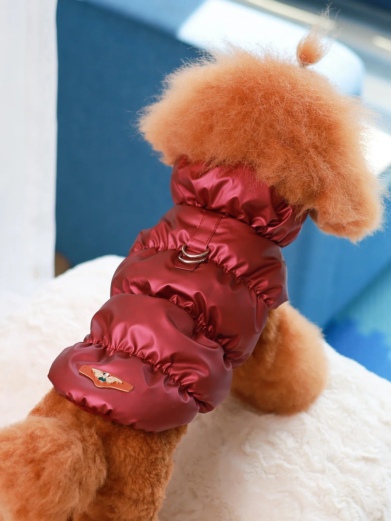 3 Layer Dog Winter Jacket