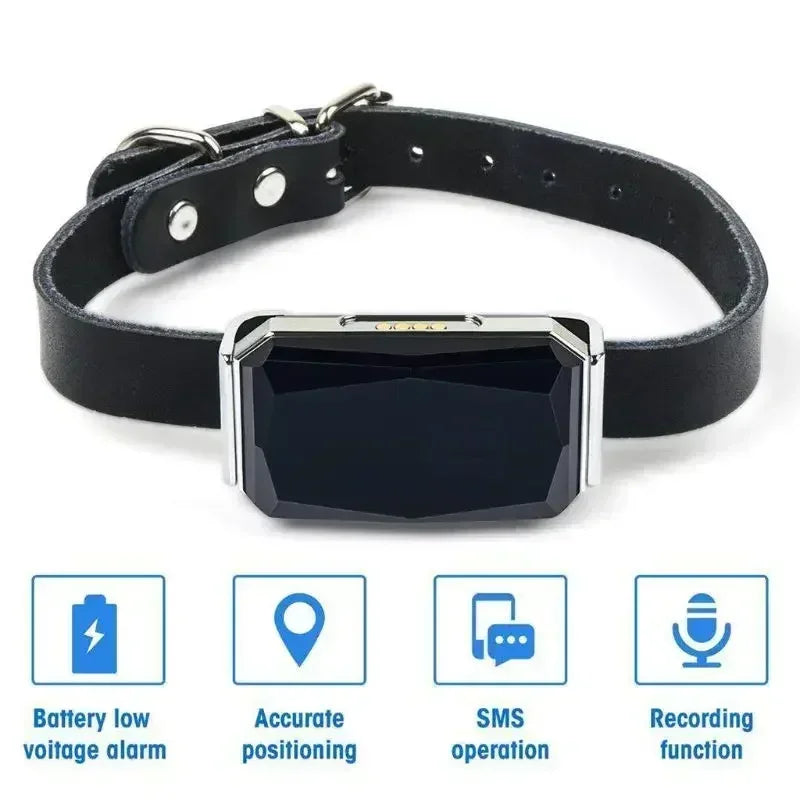 Pet GPS Tracker Collar