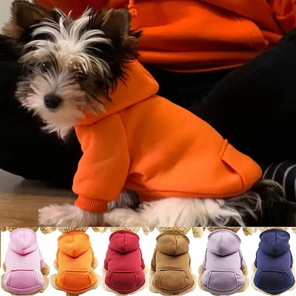 Winter Dog Hoodie Jacket