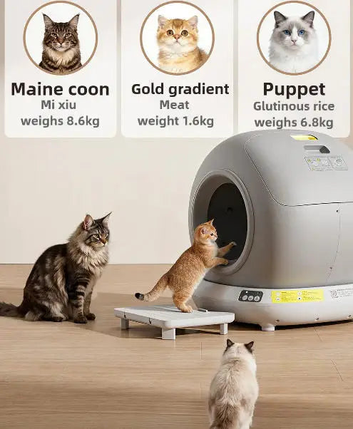 Aura 78L Self Cleaning Cat Litter Box Fully Enclosed Automatic Cat Sand Box App Control Extra Large Space Smart Pet Toilet Tray