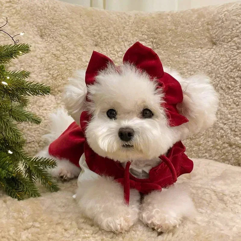 Puppy Bow Dog Dress Winter