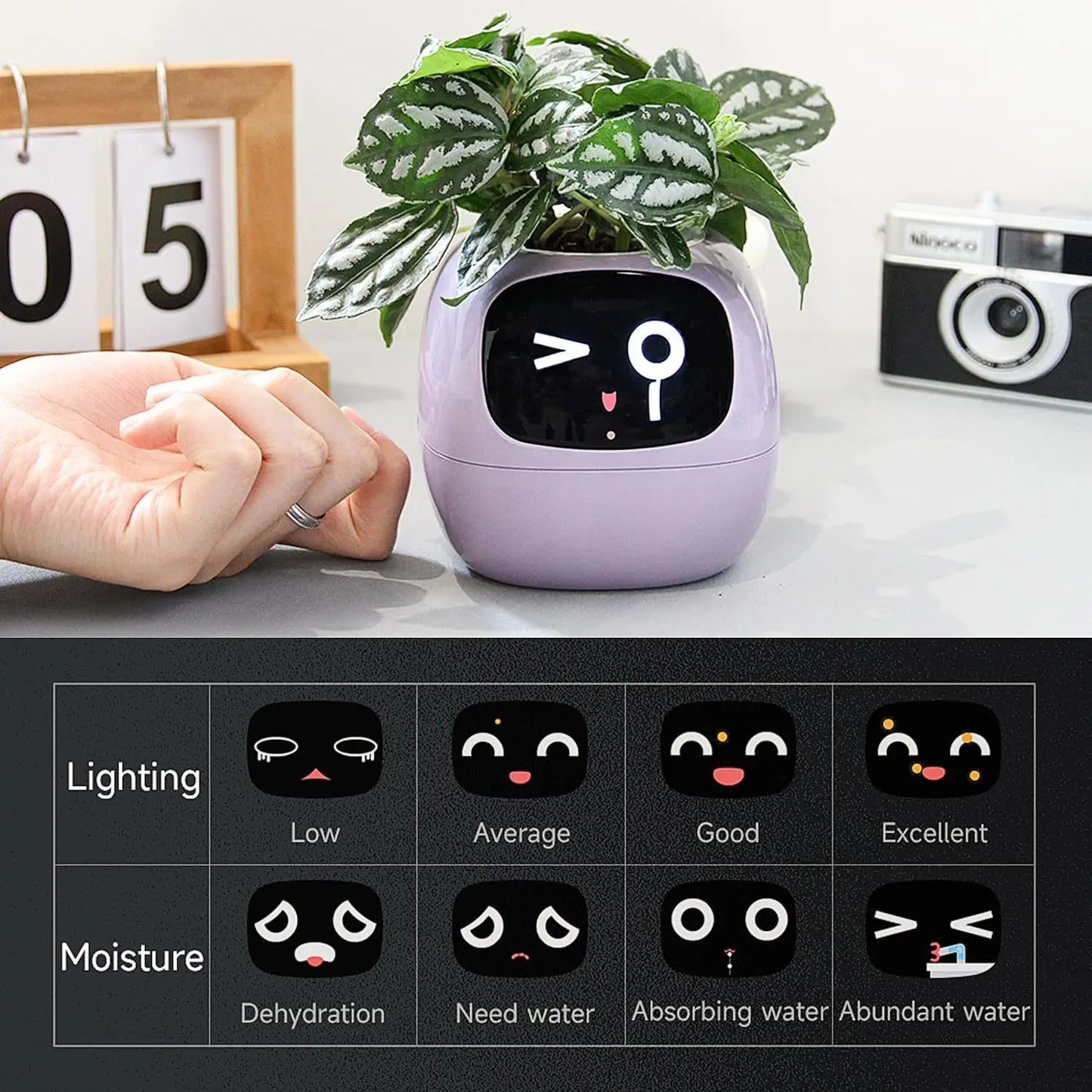Aura Intelligent Planter Electronic Pet Emotional Interactive Automatic Monitoring Temperature and Humidity Creative Plant Pot Gi