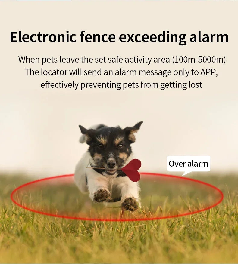 Pet GPS Tracker Collar