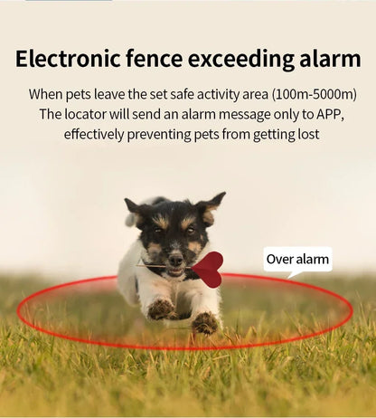 Pet GPS Tracker Collar