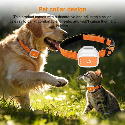Aura Mini Pet GPS Tracker Global 4G LTE Smart Anti Lost Device with SOS Alert and Geo Fence History Route for Cats Dogs iOS Android