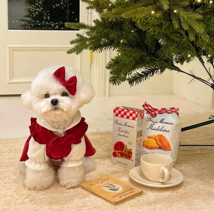 Puppy Bow Dog Dress Winter