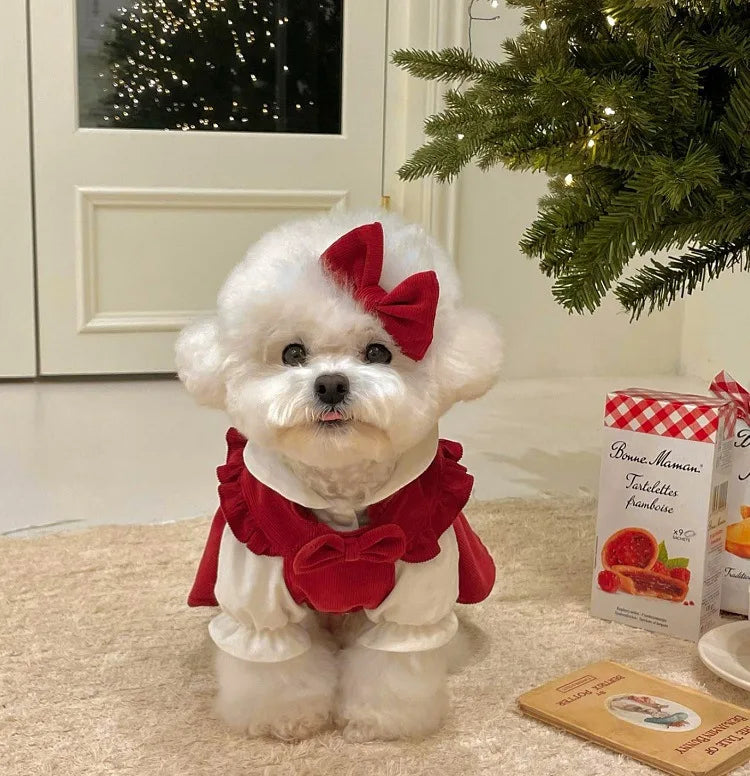 Puppy Bow Dog Dress Winter